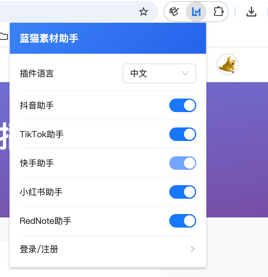 Fenêtre contextuelle après un clic sur l'icône de l'extension : connectez-vous et activez les assistants de chaque plateforme